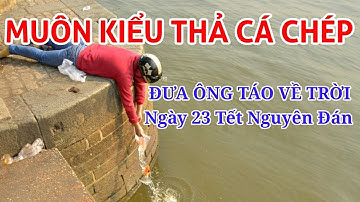 Muôn kiểu THẢ CÁ CHÉP ĐƯA ÔNG TÁO về trời Ngày 23 Tết Nguyễn Đán | Vietnam Family | HUY CƯỜNG TV