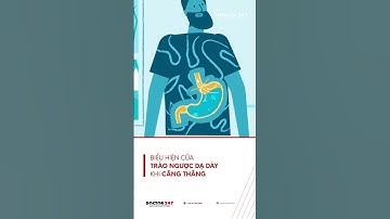 Biểu hiện của trào ngược dạ dày khi căng thẳng #yt #healthylifestyle