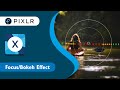 Quick & Easy Series: Focus and Bokeh Effects in Pixlr X