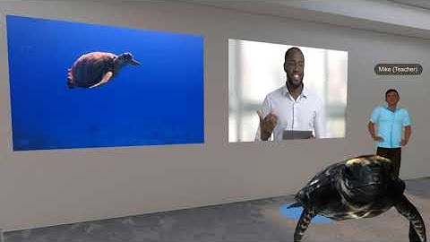 VR ClassRooms LearnBrite