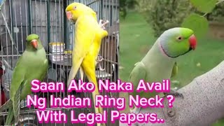 Saan Ako Naka Avail Ng Indian Ring Neck? With Legal Papers... #buhaymagiibon