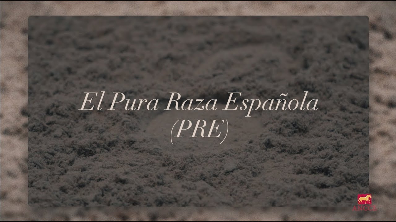Pura Raza Española (PRE) | ANCCE