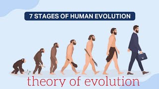 theory of evolution part 2