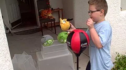 Angry Birds Tyler 2