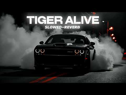Tiger Alive song