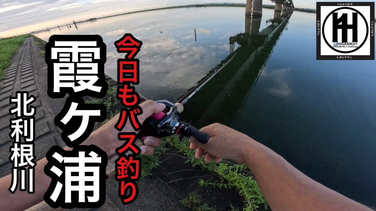 バス釣り霞ヶ浦！2026年7月31日