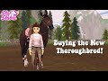 BUYING THE NEW THOROUGHBRED (STAR STABLE)