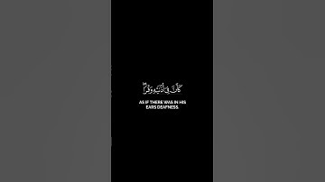 #قرآن كريم تلاوه خاشعه للشيخ ياسر الدوسري #اكسبلور #لايك #كرومات #شاشه_سوداء