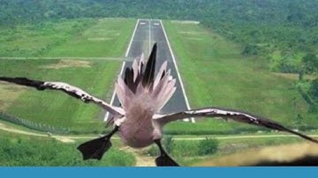 The Seven Basic Quality Tools Part 1