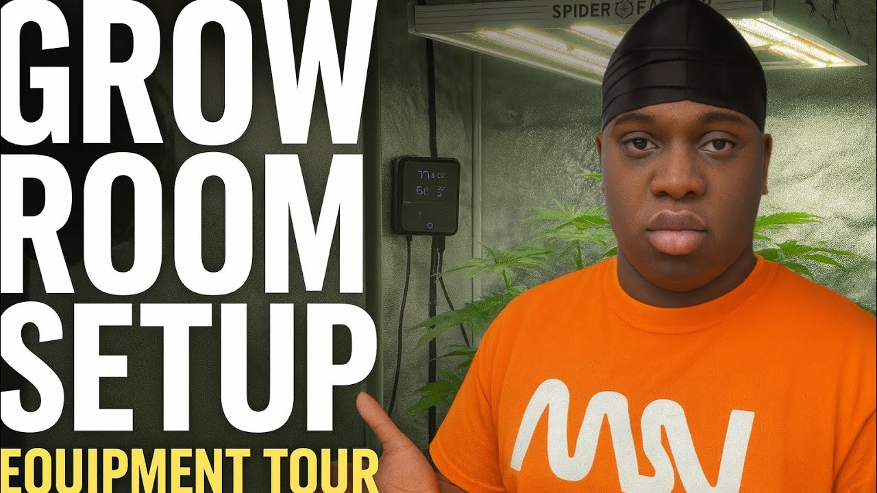 Full Indoor Grow Setup 🌿 | Lights, Soil & Equipment Breakdown (Kush & Beans Season 1)