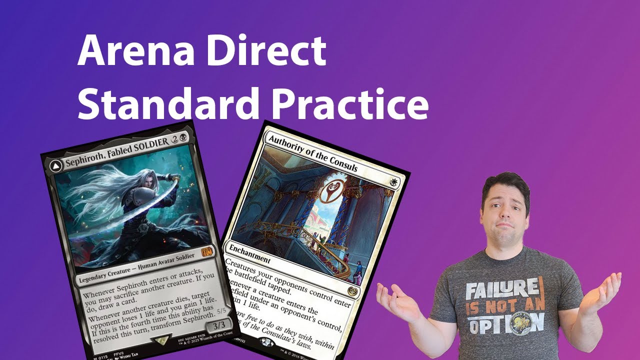 Arena Direct Practice - Standard w/ Airball