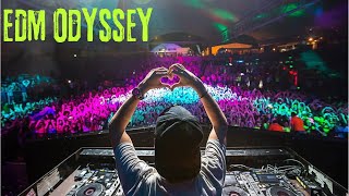Ultimate EDM Playlist | Melodic Beats and High-Energy Anthems