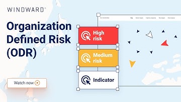 Organization Defined Risk (ODR) | Windward Demo
