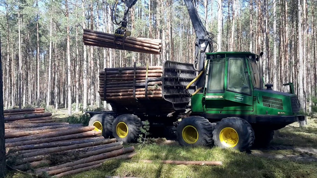 Zrywka nasiębierna forwarderami