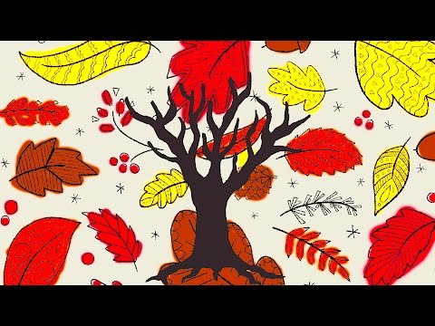 Speech Therapy - "one, some, none, and all." - YakBack Preschool #6