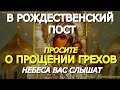 Важная молитва в дни Рождественского Поста. Просите Богородицу о прощении грехов. Небеса вас слышат