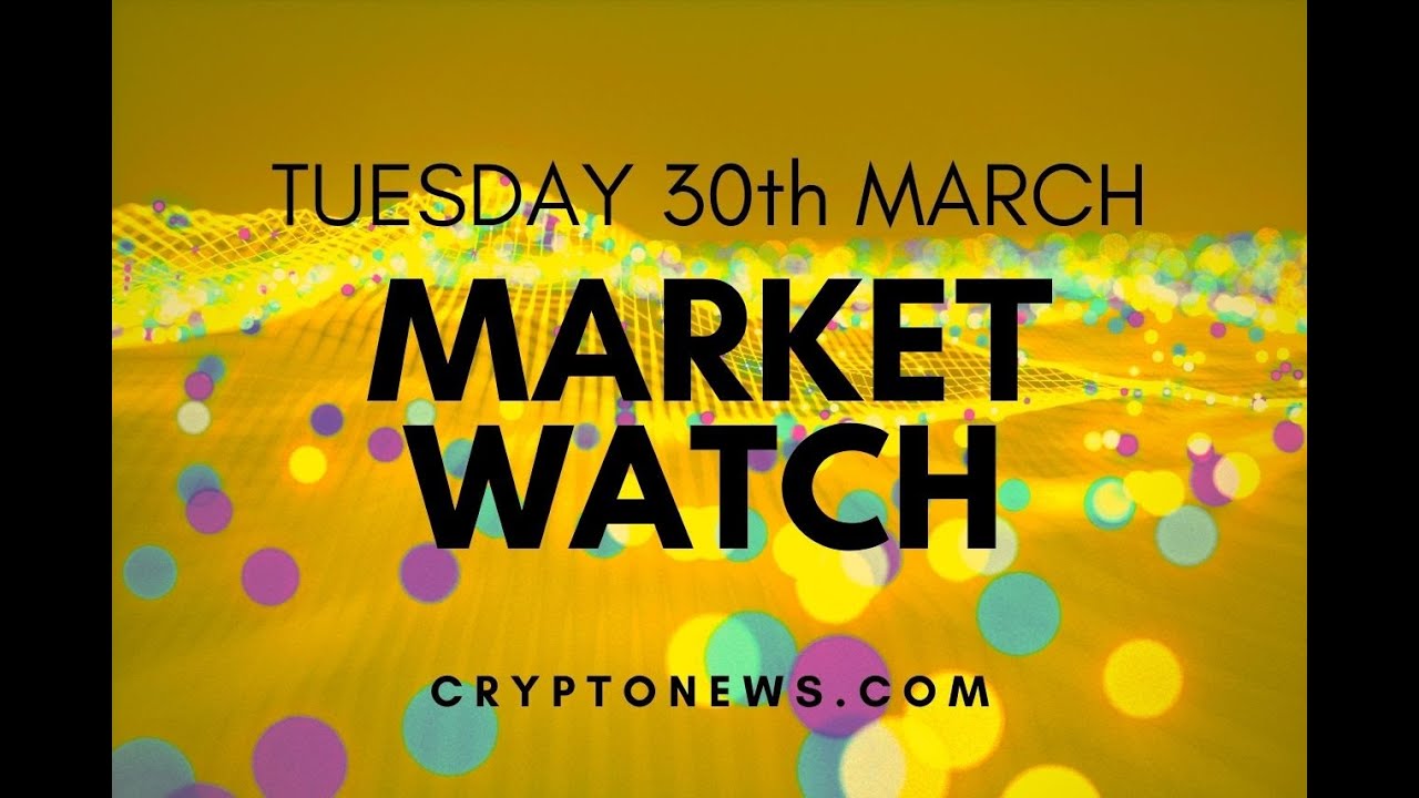 Bitcoin and Ethereum Correct Gains Altcoins Absorb Selling Pressure