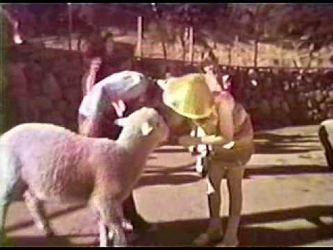 Herb Alpert, TJB - Talk to the Animals