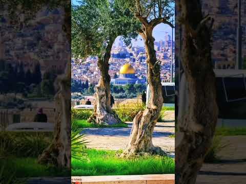 ومن أظلم ممن منع مساجد الله أن يذكر فيها اسمه إسلام صبحى