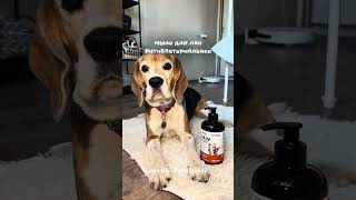 🐶Артикул мыла для лап:  #WW315637 Копируй с буквами на WB