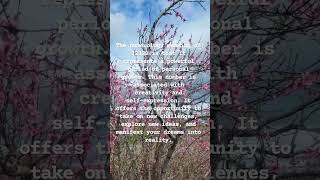 What Is The Numerology Meaning Of 32323?