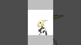 marshi drawing