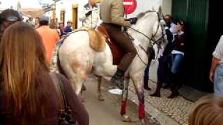 The Feira de Golega: The Horse Capital of Portugal