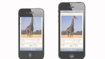 See FileMaker Go on iPhone 5