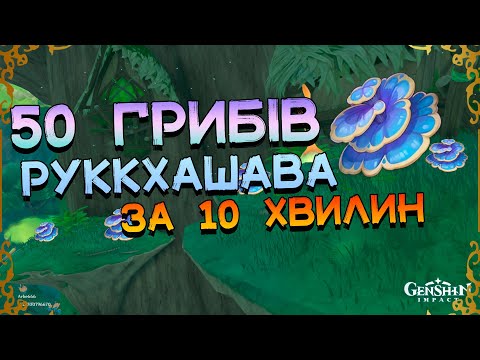 Гриби Руккхашава | Маршрут Збору | Матеріали Вознесіння | Genhsin Impact 3.0 Українською