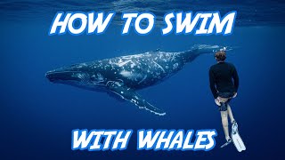 French Polynesia: Swimming with Whales in Moorea