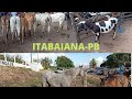 FEIRA DE ANIMAIS DE ITABAIANA-PB NO DISTRITO DE CARIATÀ 01/08/2021