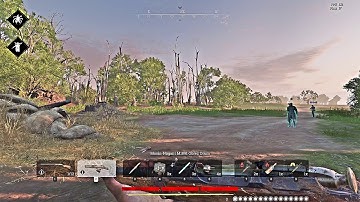 Hunt: Showdown - 2020-05-19 2 - bug/crash again