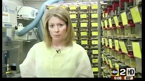 The debate over animal testing in Baltimore