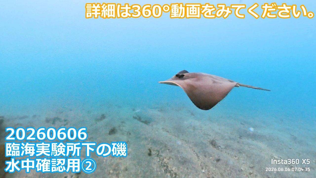 20260606臨海実験所下の磯水中確認用②(06:20:50～07:38:28)チャプター 