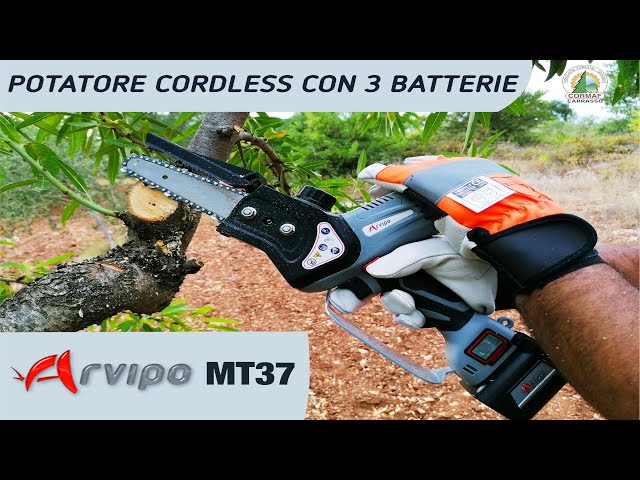 Potatore Motosega Arvipo MT37 batteria cordless per potatura professionale  