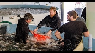 Tilapia Harvest at PAES W.A.T.E.R.