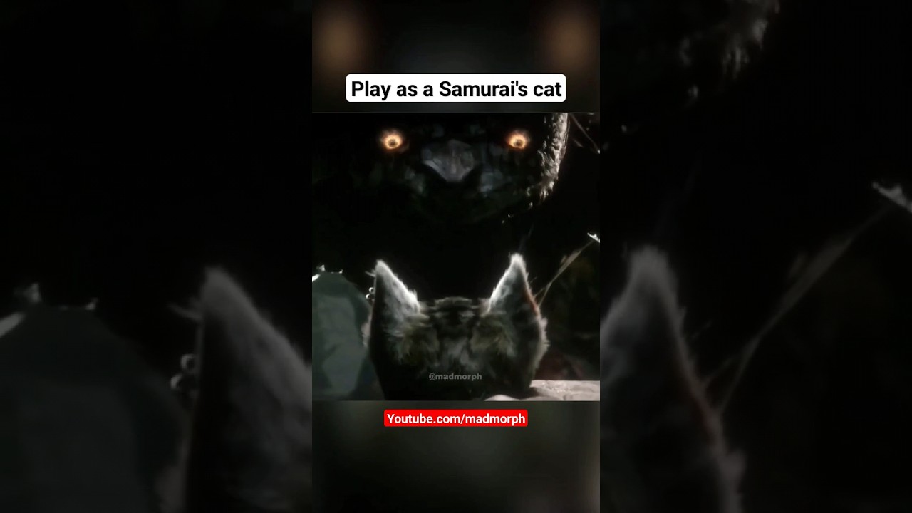 Giant spider woman chases a kitten | Spirit of the Samurai (Gameplay)
