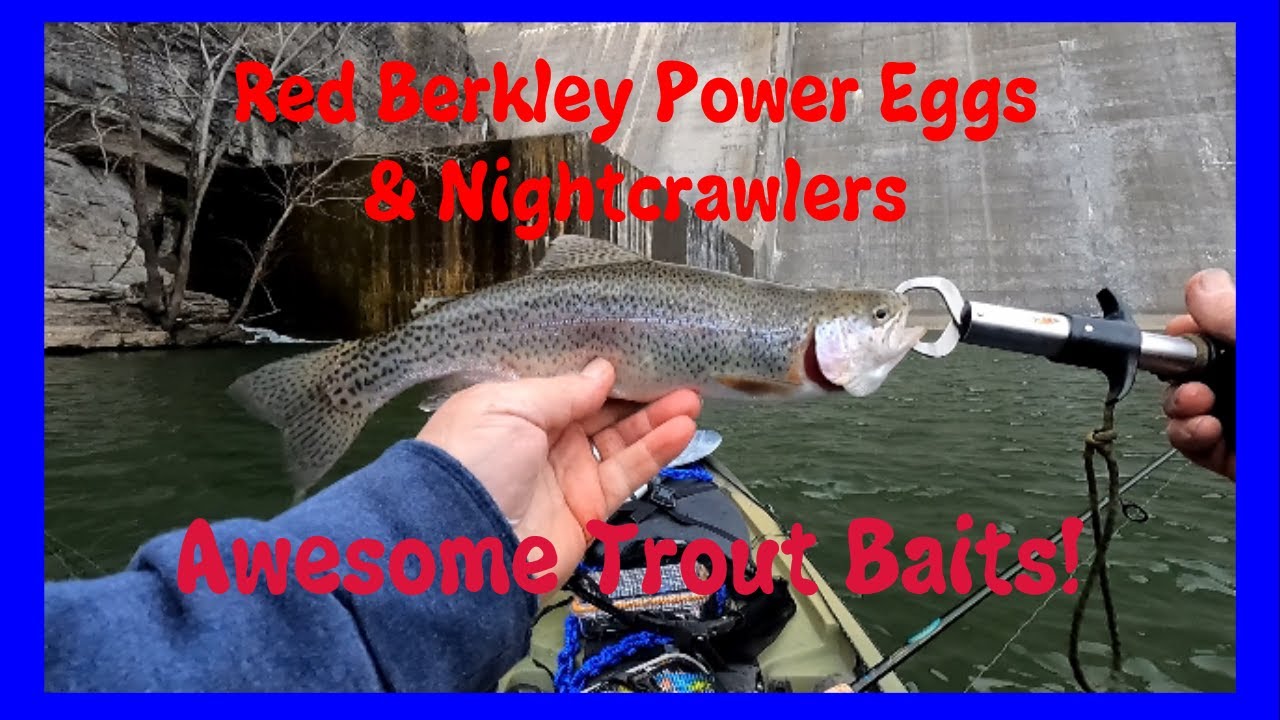 Fishing for Rainbow Trout Using Red Berkley Power Eggs & Nightcrawlers 