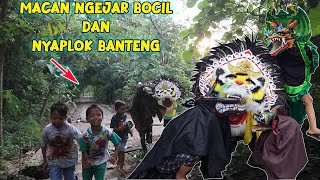 #eps2 Gawat‼️ barongan banteng hamil habis melahirkan di makan macanan di tolong barongan devil