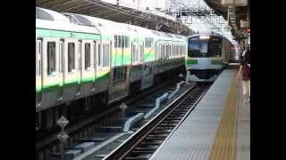E217系(10両)+E217系(5両) 回送 東海道線