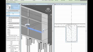 Autodesk Revit Structure: Working with Hosted Components