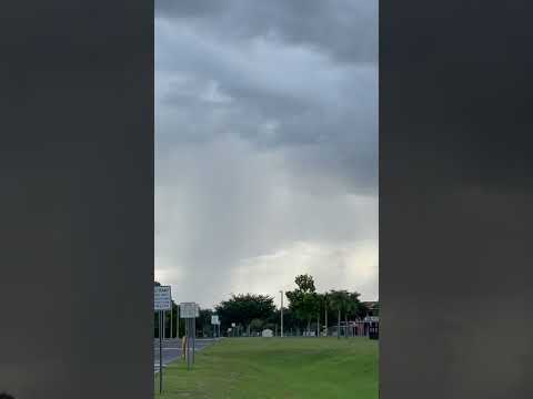 Video: Marts Orlando: laikapstākļu un notikumu ceļvedis