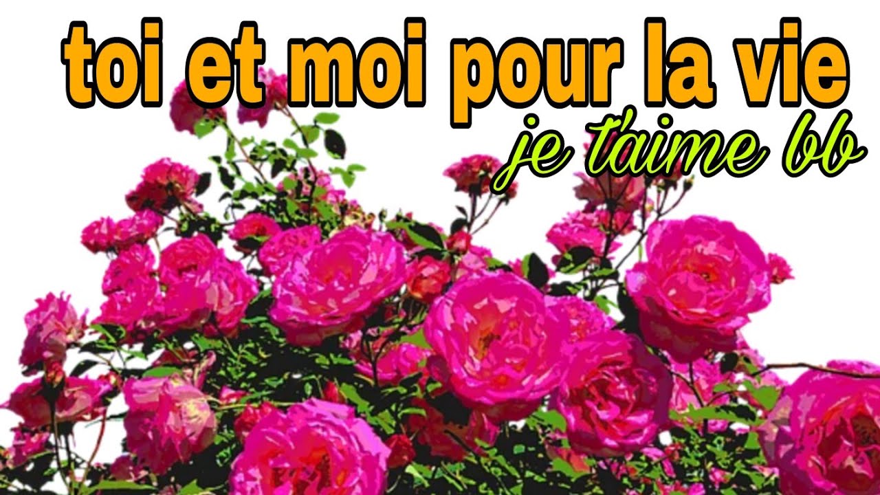 ️💝toi et moi pour la vie 💋♥️je t'aime plus que tout au monde ️💝 - YouTube