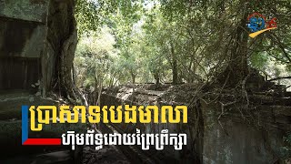 ប្រាសាទបេងមាលា ហ៊ុមព័ទ្ធដោយព្រៃព្រឹក្សាប្រៀបដូចត្បូងមរកត