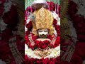 ॐ श्री श्याम देवाय नमः #shyam #khatushyam #ytshorts #yt #shorts #like #subscribe #share #follow