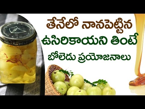 చలికాలంలో తేనెలో నానబెట్టిన ఉసిరికాయ అద్భుతమైన ఆరోగ్య ప్రయోజనాలు | ఇండియన్ గూస్బెర్రీ | ఆరోగ్య చిట్కాలు
