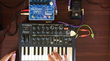 #201 Arturia MicroBrute Electro Harmonix StereoMemoryMan Live Looping