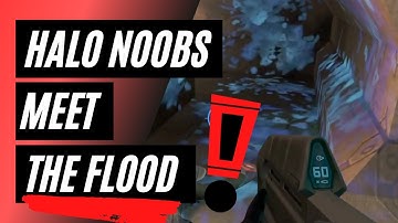 HALO noobs meet the flood FOR THE FIRST TIME - compilation