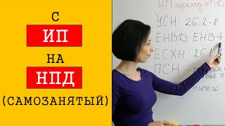 как ИП перейти на НПД и стать  самозанятым гражданином