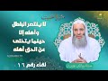 لا ينتصر الباطل وأهله إلا حينما يتخلى عن الحق أهله سيرة الحبيب الحلقة 16 الشيخ الدكتور محمد حسان 